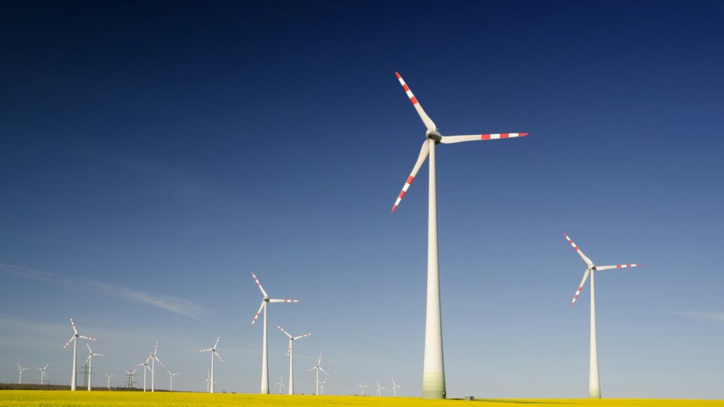 Vindkraftverk på ett flackt fält under blå himmel, illustrationsbild